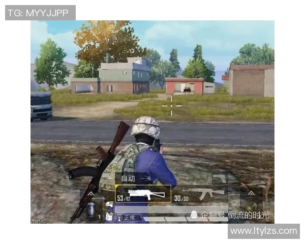 和平精英纪实:深度解析BLG战队的蜕变与成长历程