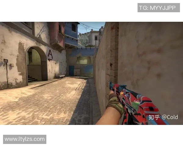 CSGO战术解析：深入探讨WE战队的防守策略与执行技巧