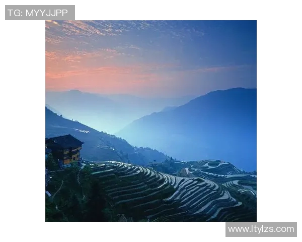 飞盘灵活性实力榜单权威发布揭示各队实力排名与发展潜力